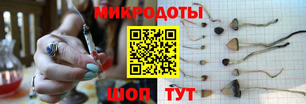 Псилоцибиновые грибы мухоморы Ярцево